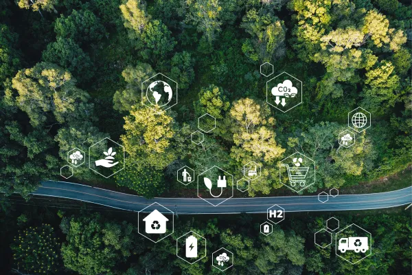 Blick auf einen naturnahen Wald, durch den eine Straße führt. Darüber sind grafische Elemente zum Thema emissionsfreier Verkehr abgebildet, unter anderem ein CO2-Symbol, eine E-Tankstelle, die Weltkugel und anderes.